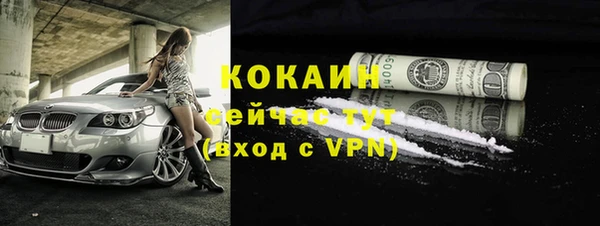 дживик Богданович