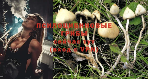 MESCALINE Богородицк
