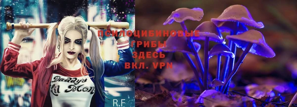дживик Богданович